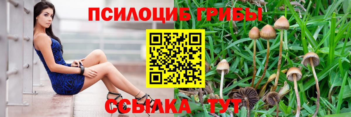 Псилоцибиновые грибы мицелий Кушва